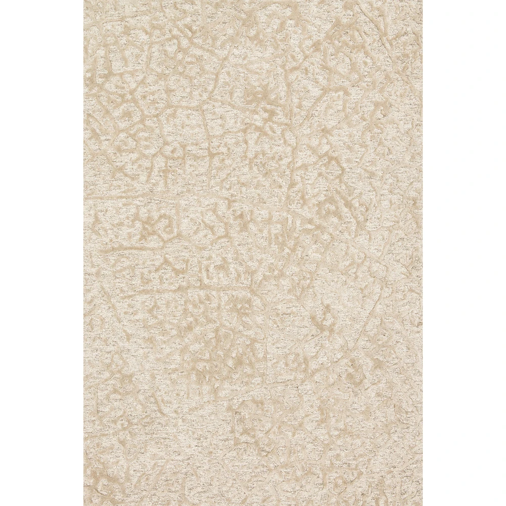 Tapis Juneau par Loloi