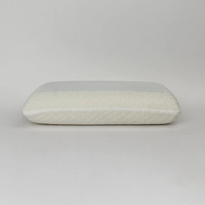 Therapedic Gel Overlay Foam Comfort Pillow