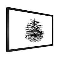Conifer Cone Monochrome Wall Art