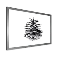 Conifer Cone Monochrome Wall Art