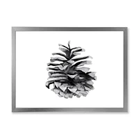Conifer Cone Monochrome Wall Art
