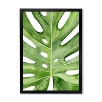 Green Monstera Leaf Tropical Palm Botanical Detail  Wall Art