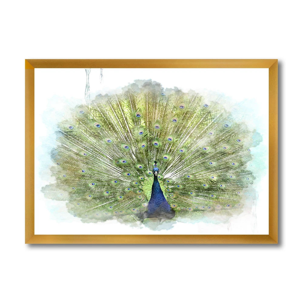 Toile « Peacock Bird »