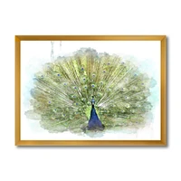Toile « Peacock Bird »