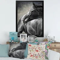 Portrait of A Black Horse  Canvas Wall Art Print