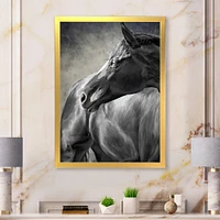 Portrait of A Black Horse  Canvas Wall Art Print