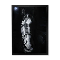 Horse Staring Sinister  Wall Art