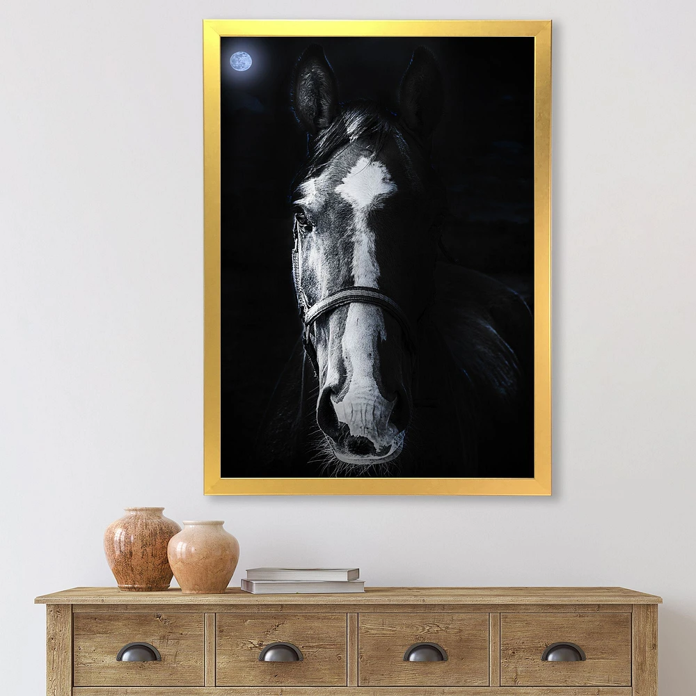 Horse Staring Sinister  Wall Art