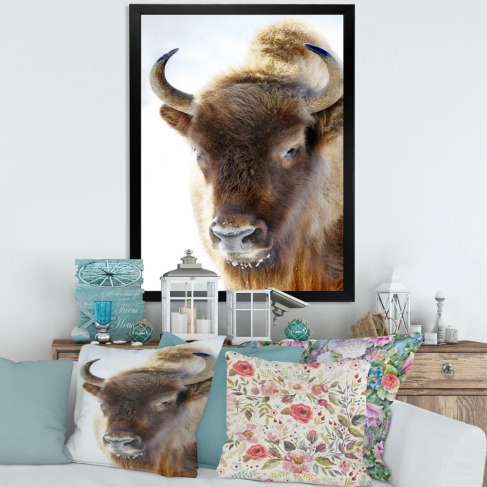 Portrait of Wild Bison Canvas Wall Art Print