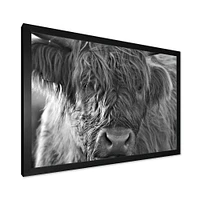 Toile imprimée « Scottish Highland Cows Living on Moorland »