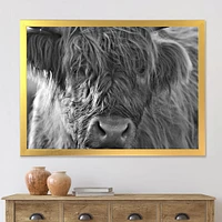 Toile imprimée « Scottish Highland Cows Living on Moorland »