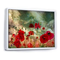 Wild Red Poppy Flowers Sky  Canvas Art Print