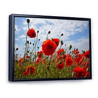 Bright Red Poppy Flowers Photo Artwork on Canvas