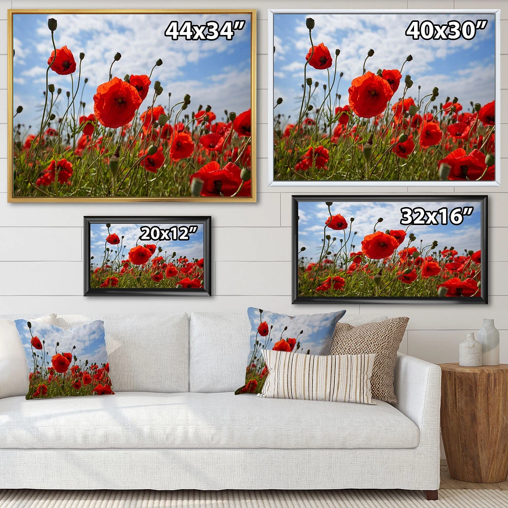 Bright Red Poppy Flowers Photo Artwork on Canvas