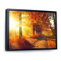 Toile « Autumnal Trees Sunrays »
