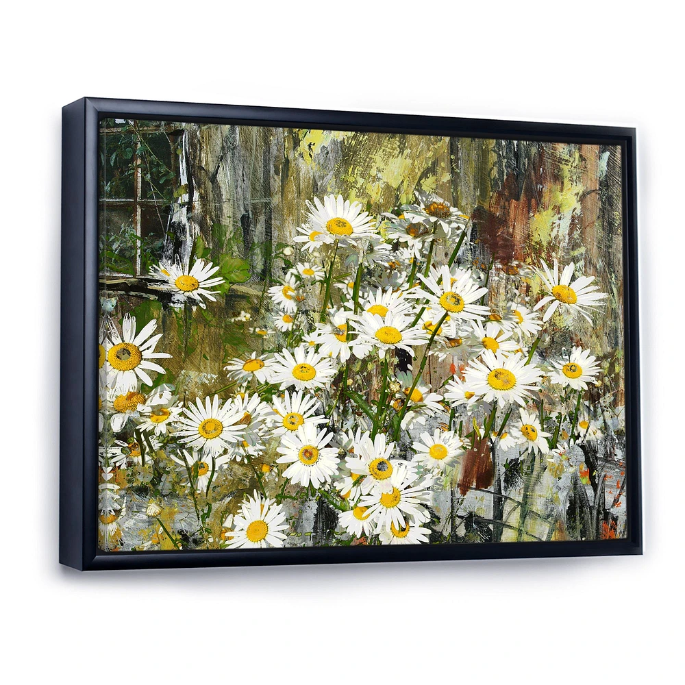 Daisies Flowers Under the Window  Wall Art