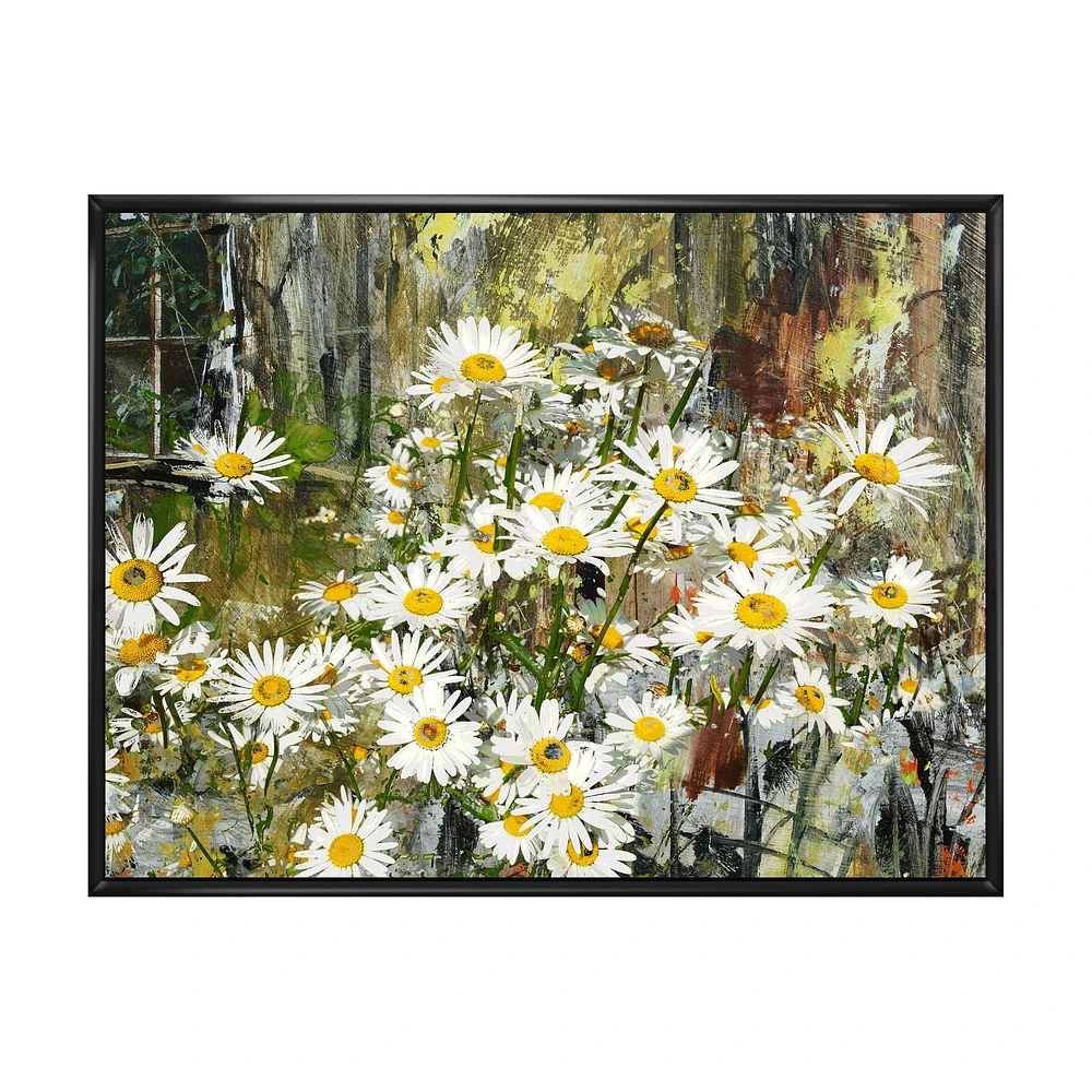 Daisies Flowers Under the Window  Wall Art