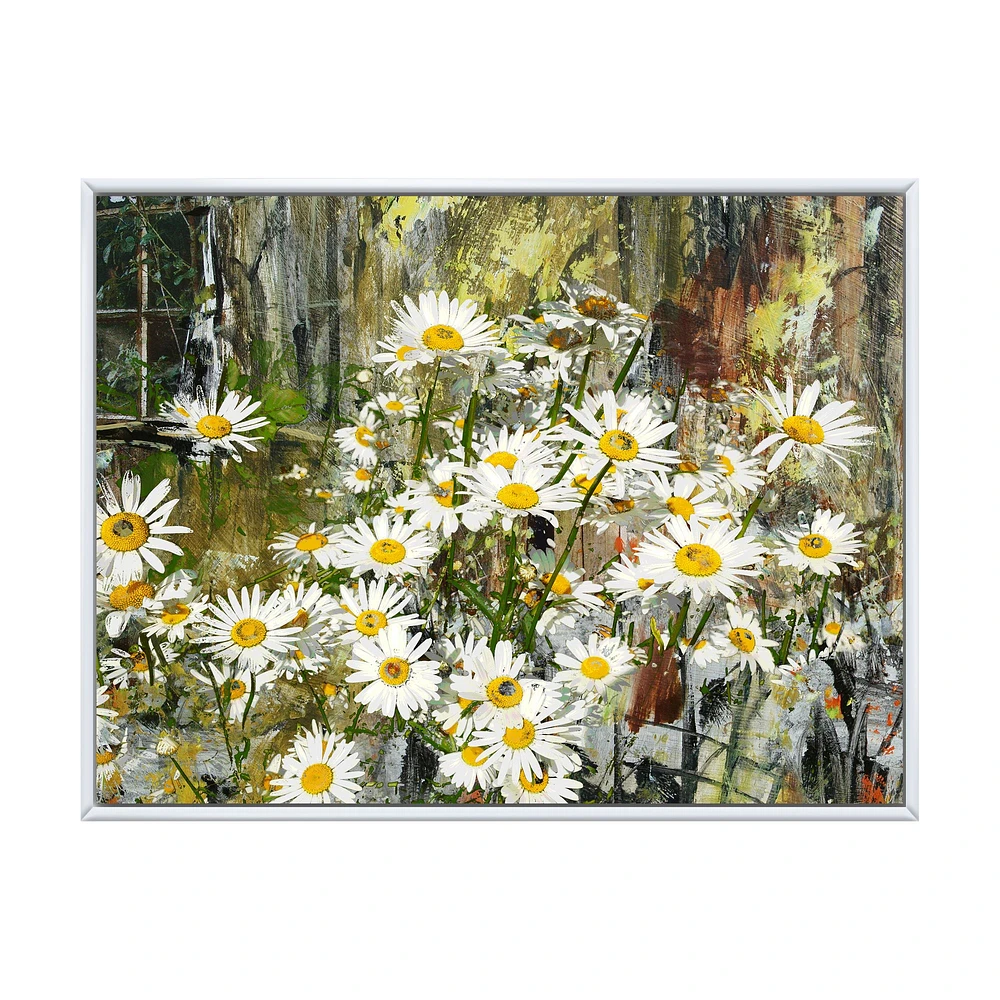 Daisies Flowers Under the Window  Wall Art