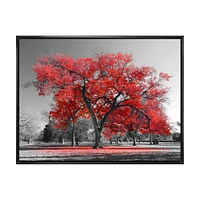 Big Red Tree on Foggy Day  Canvas Art Print