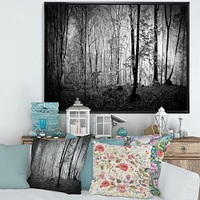Beautiful Forest Morning Panorama  Canvas Art Print