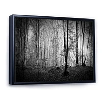 Beautiful Forest Morning Panorama  Canvas Art Print