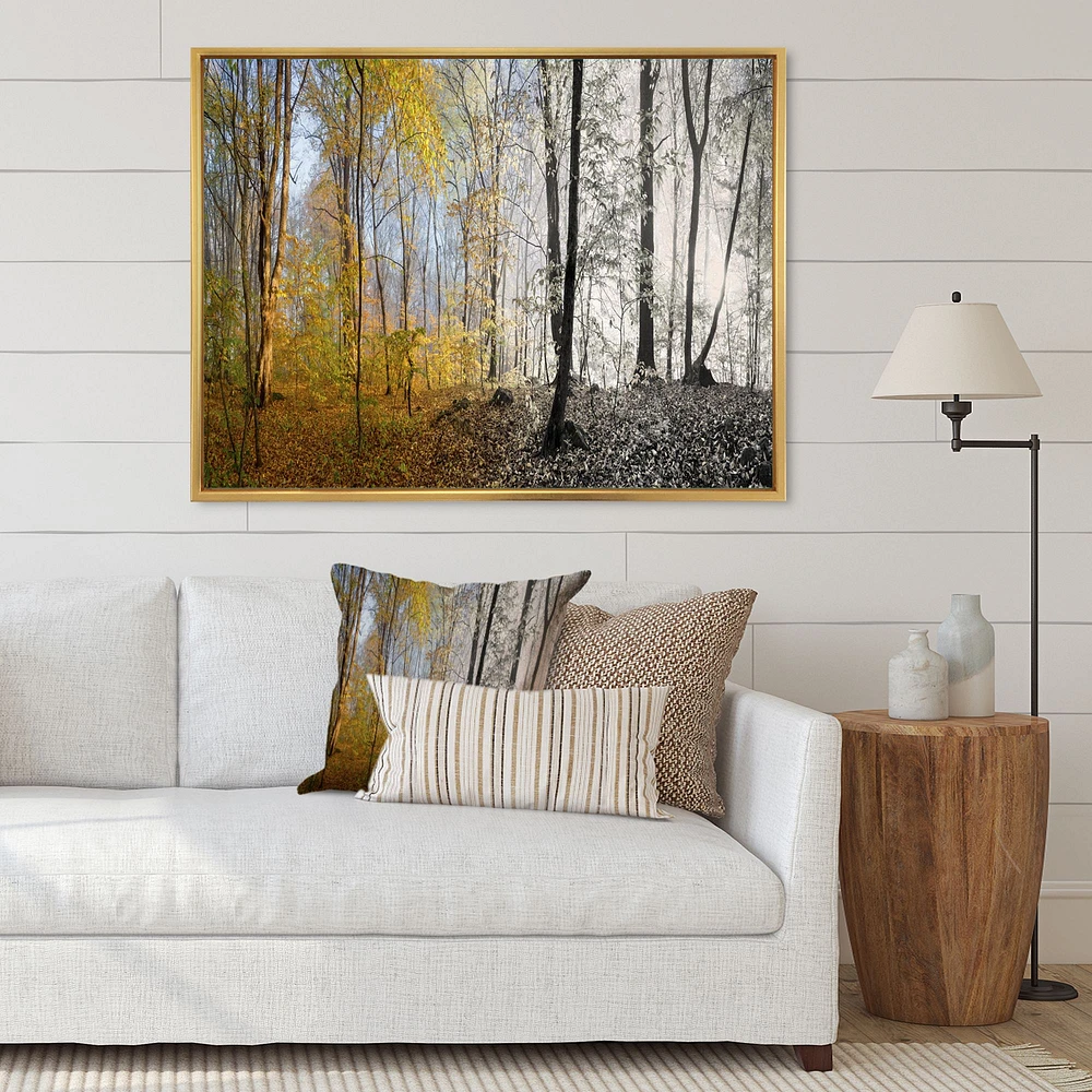 Morning Forest Panorama Canvas Art Print