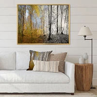 Morning Forest Panorama Canvas Art Print