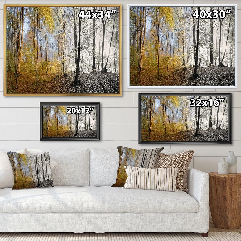 Morning Forest Panorama Canvas Art Print