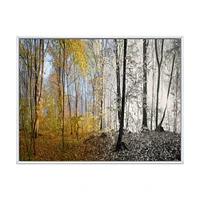 Morning Forest Panorama Canvas Art Print