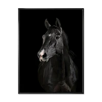Black Horse darkness  Canvas