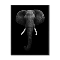 African Elephant  Wall Art