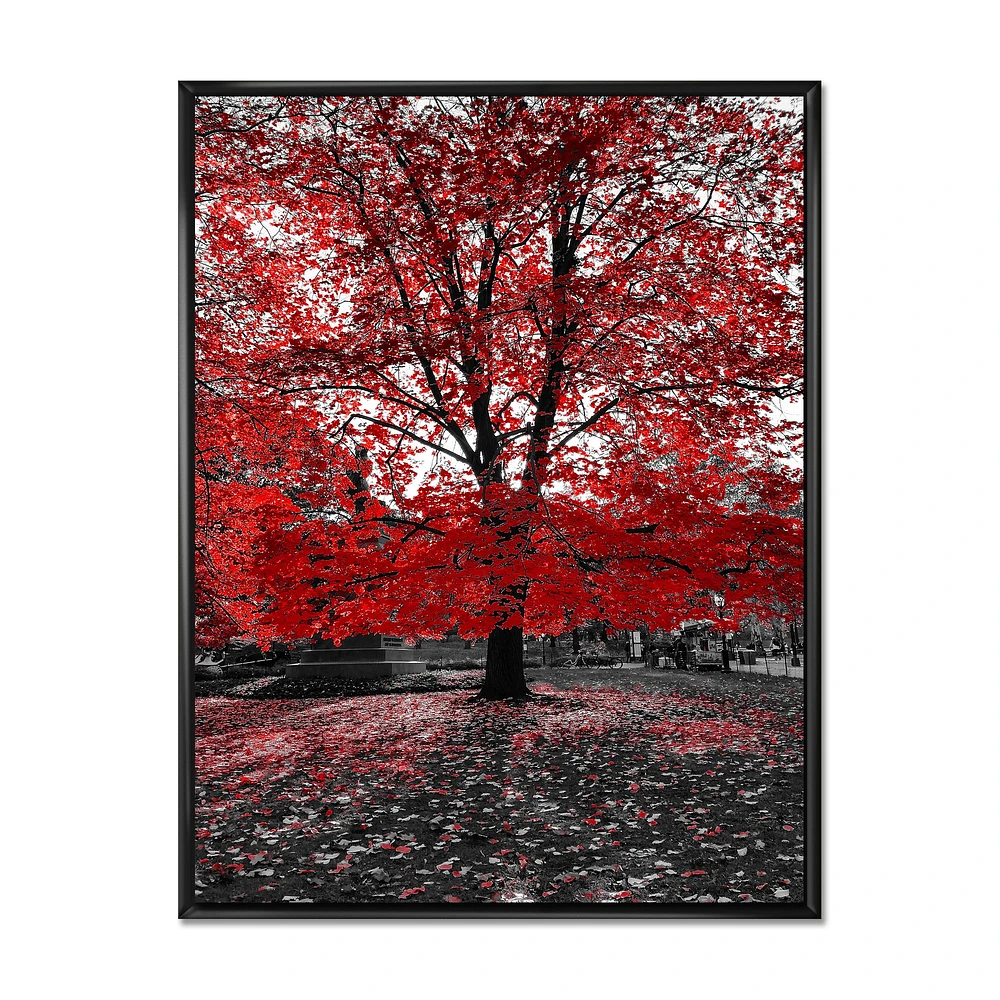 Red Tree Central Park  Wall Art