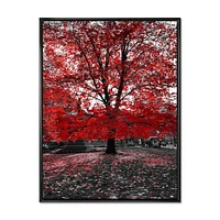 Red Tree Central Park  Wall Art