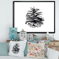 Conifer Cone Monochrome Wall Art