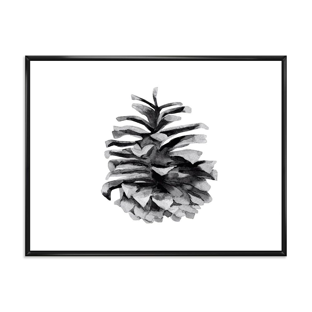 Conifer Cone Monochrome Wall Art