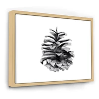 Conifer Cone Monochrome Wall Art