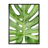 Green Monstera Leaf Tropical Palm Botanical Detail  Wall Art