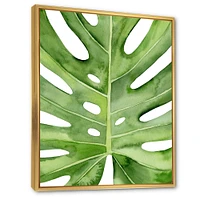Green Monstera Leaf Tropical Palm Botanical Detail  Wall Art