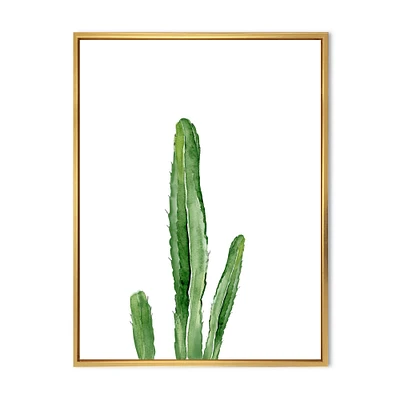 Green Cactus South Western Plant Botanical Detail  Wall Art