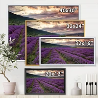 Lavender Field At Dawn I  Wall Art