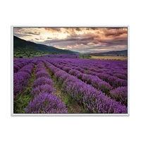 Lavender Field At Dawn I  Wall Art