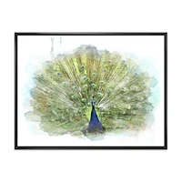 Toile « Peacock Bird »