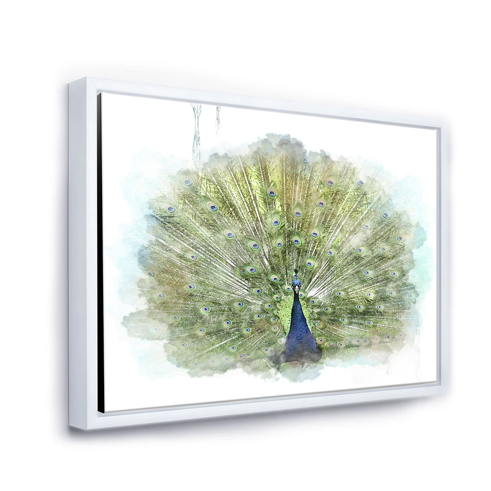 Toile « Peacock Bird »
