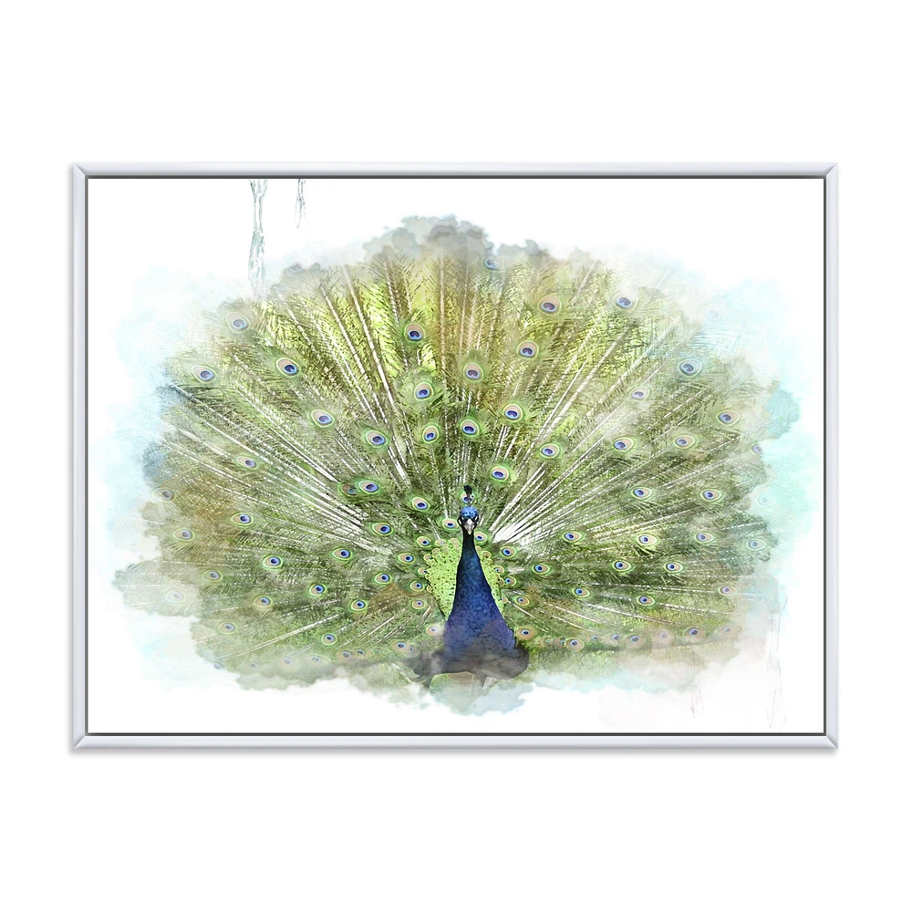 Toile « Peacock Bird »