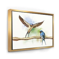 Two Barn Swallows Birds  Wall Art