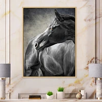Portrait of A Black Horse  Canvas Wall Art Print