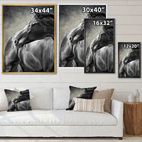 Portrait of A Black Horse  Canvas Wall Art Print