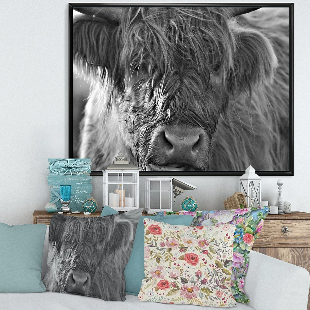 Toile imprimée « Scottish Highland Cows Living on Moorland »