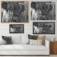 Toile imprimée « Scottish Highland Cows Living on Moorland »