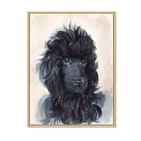 Portrait of The Black Poodle Puppy with Curly Coat  Canvas Wall Art Print